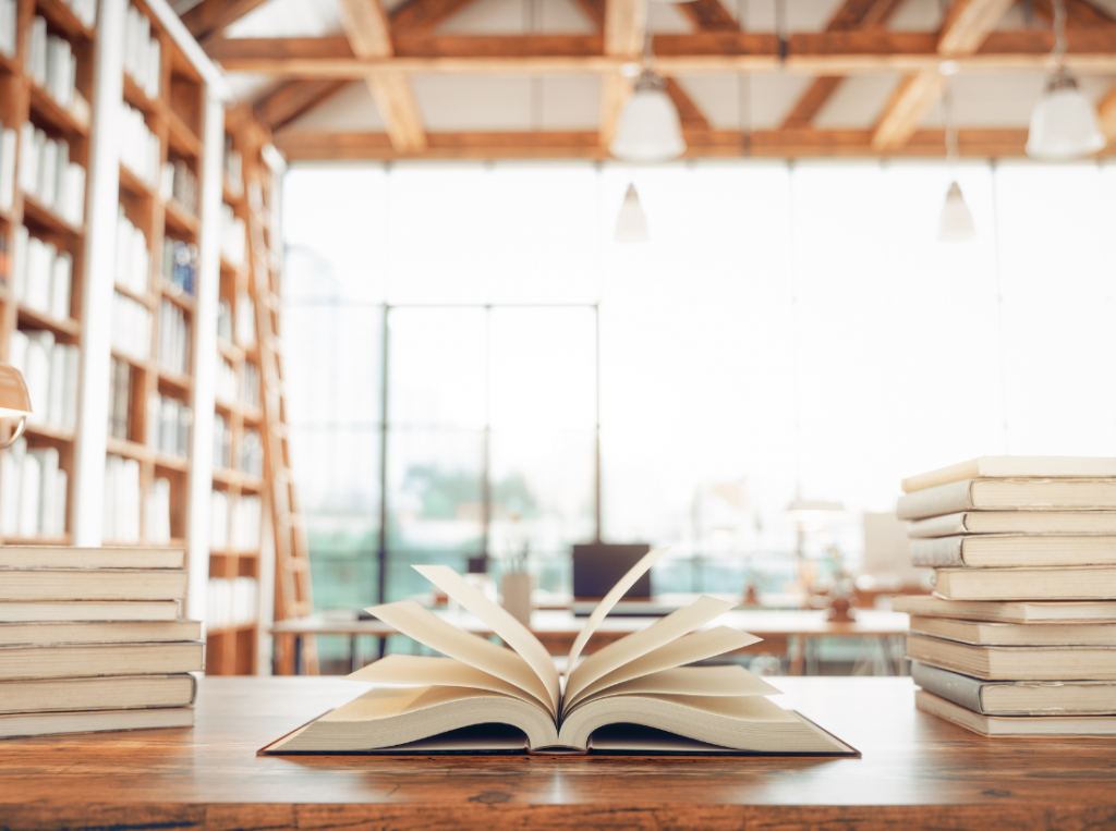 Bibliothèque Virtuelle de la Diaspora