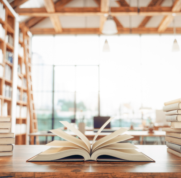 Bibliothèque Virtuelle de la Diaspora